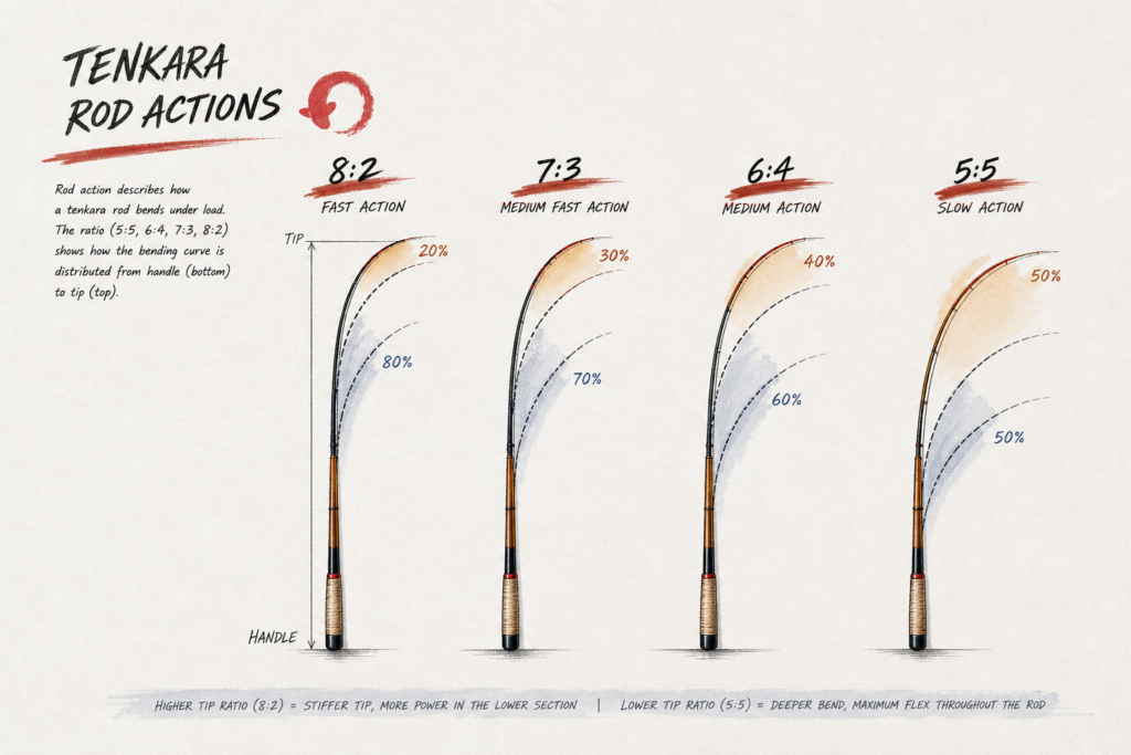Illustration showing tenkara rod action and bending profile under load; japanese specs