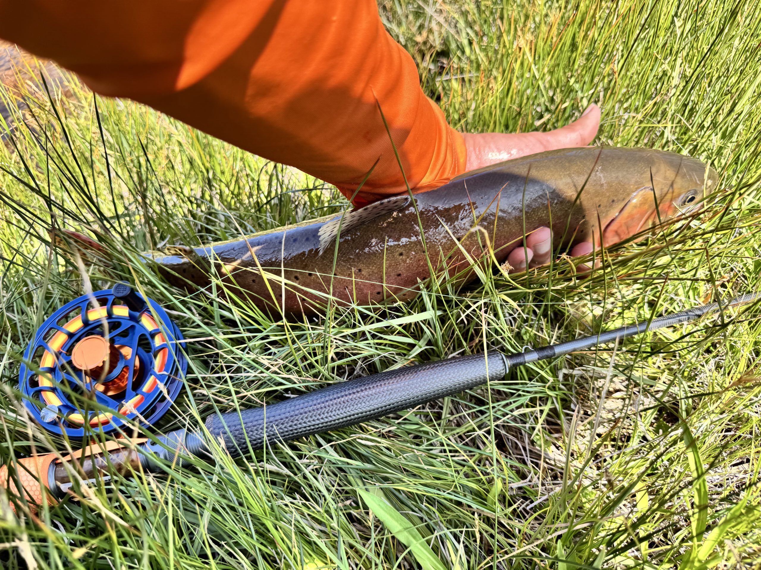 Testing Tanuki Euro Nymphing Rods in Bishop