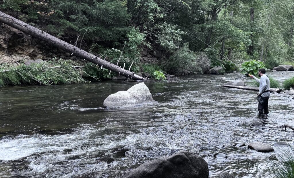Martin Fishing with a Tenkara rod on the way back from Tenkara Bug Out 2026